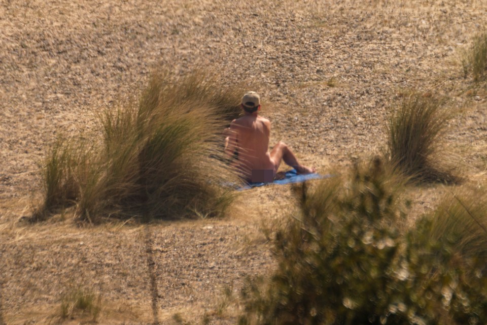 A nude man sits on a beach towel partially obscured by beach grass.