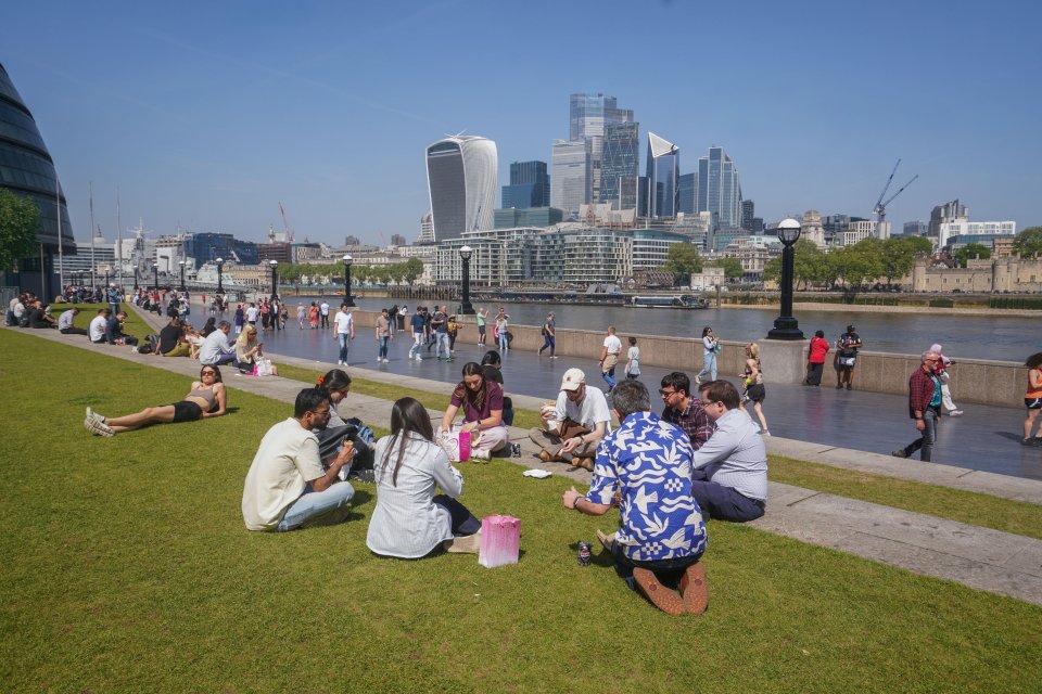 People relaxing on the grass by the Thames River in London, with the city skyline in the background.