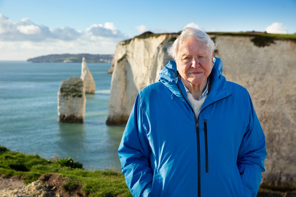 Sir David Attenborough standing outdoors near a body of water and cliffs.