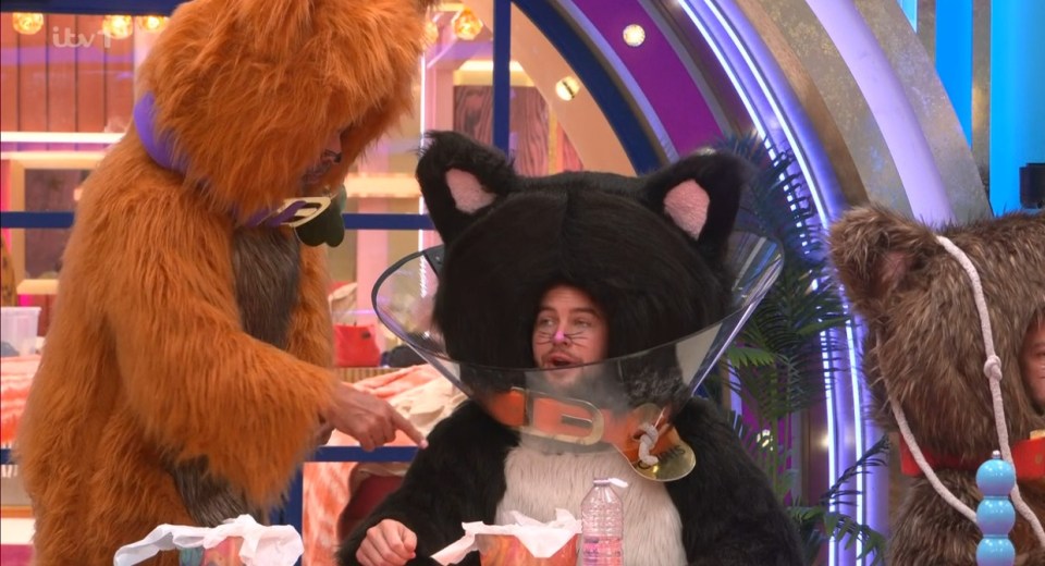 Screenshot of a game show contestant in a cat costume and cone of shame, flanked by people in furry animal costumes.