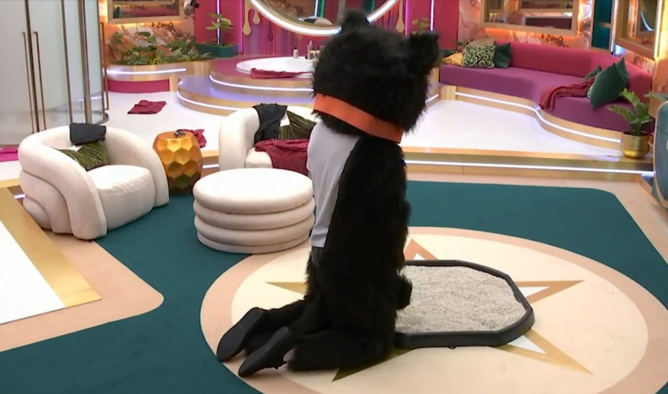 Person in a black dog costume kneeling on a litter box in a brightly lit room.