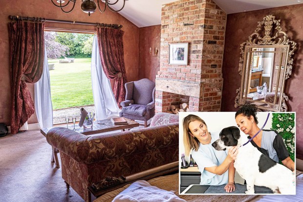 Luxurious dog spa room with fireplace and inset of dog grooming.