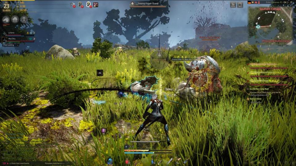 Black Desert Online gameplay screenshot.