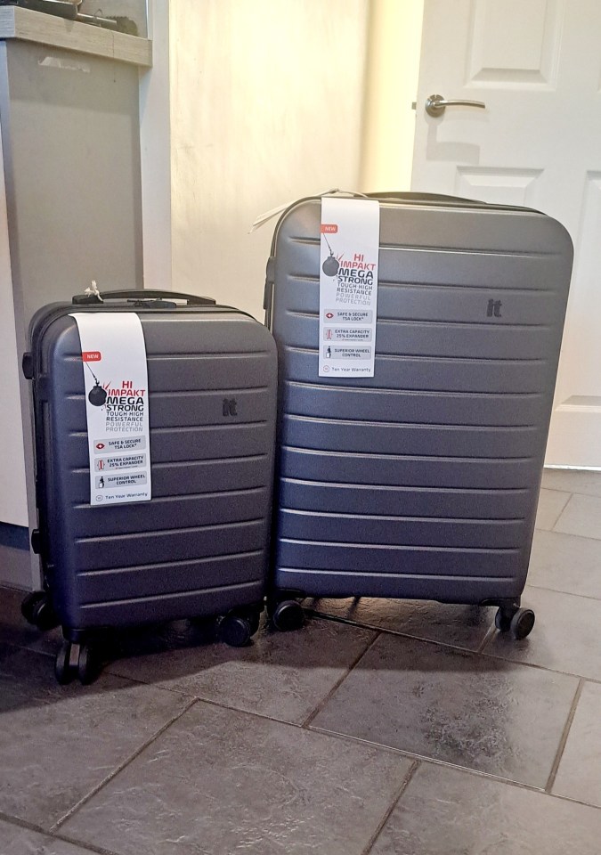 Two dark-grey suitcases, one larger than the other.