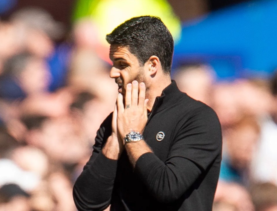 Mikel Arteta reacting during a soccer match.