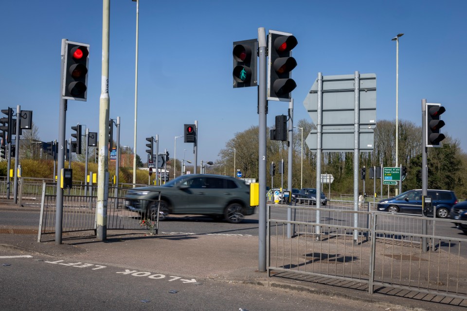 Flowers and traffic lights at a pedestrian crossing.