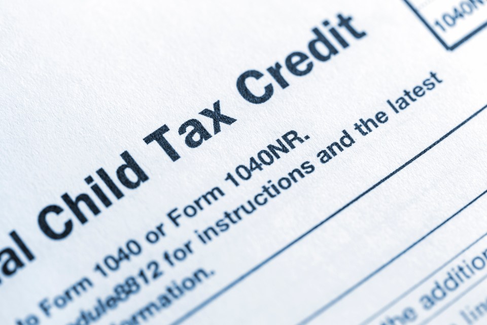 Close-up of the Child Tax Credit section of a tax form.