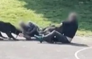 Two dogs fighting, one man injured on the ground.
