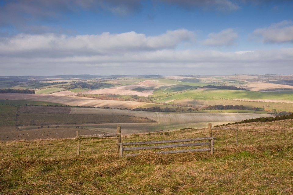 Rolling hills of the South Downs National Park.