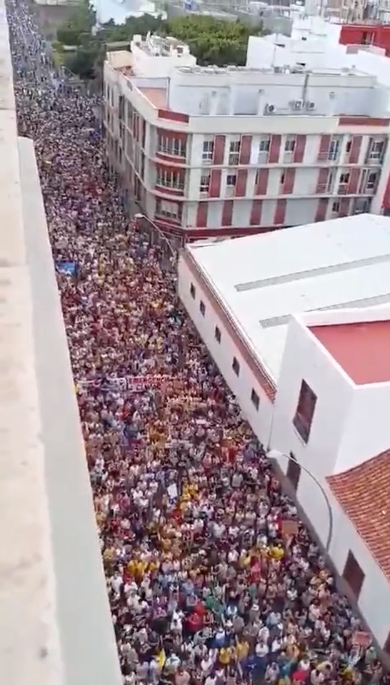 Large crowd protesting mass tourism in Canary Islands.