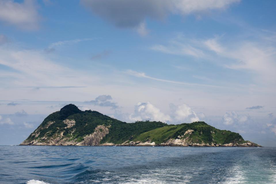 Queimada Grande island, also known as Snake Island, off the coast of Brazil.