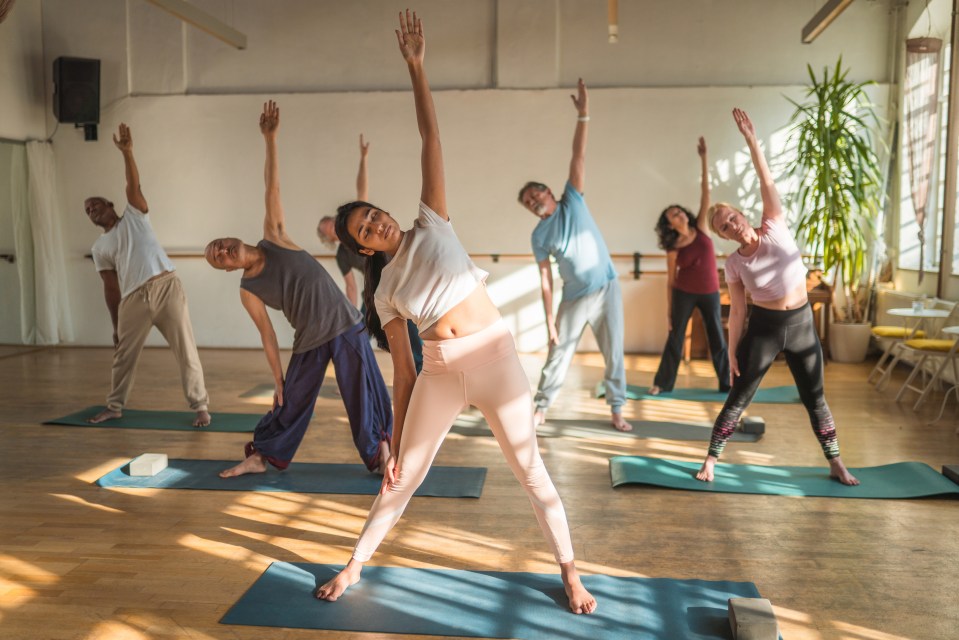 Diverse group of seniors participating in a yoga class.