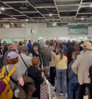 Crowded airport terminal.