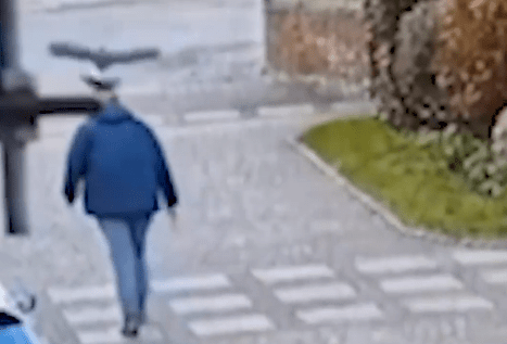 Person walking away from the camera on a pedestrian crossing.