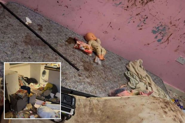 An image collage containing 2 images, Image 1 shows A filthy abandoned apartment with children's toys and feces on the walls and mattress, Image 2 shows Squalid conditions inside an abandoned flat, showing discarded belongings and apparent feces on the walls