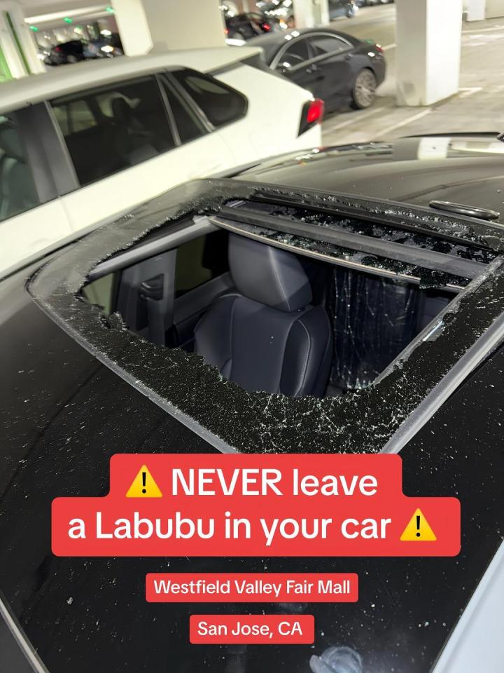 Car sunroof smashed after Labubu toys were left inside.