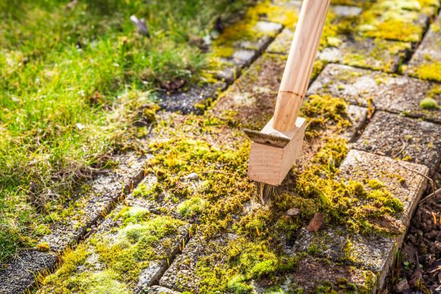 An image collage containing 1 images, Image 1 shows Removing moss from paving stones with a brush