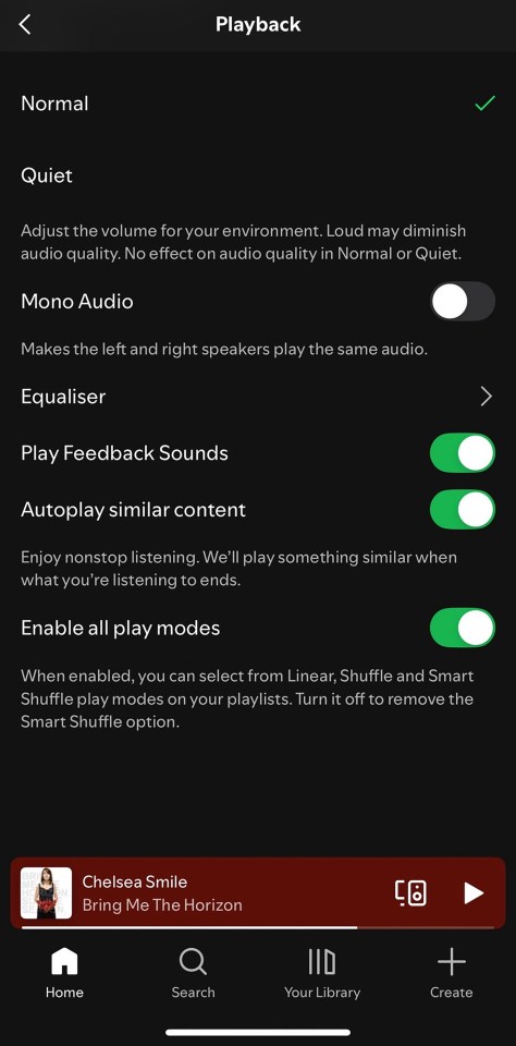 Screenshot of playback settings menu.
