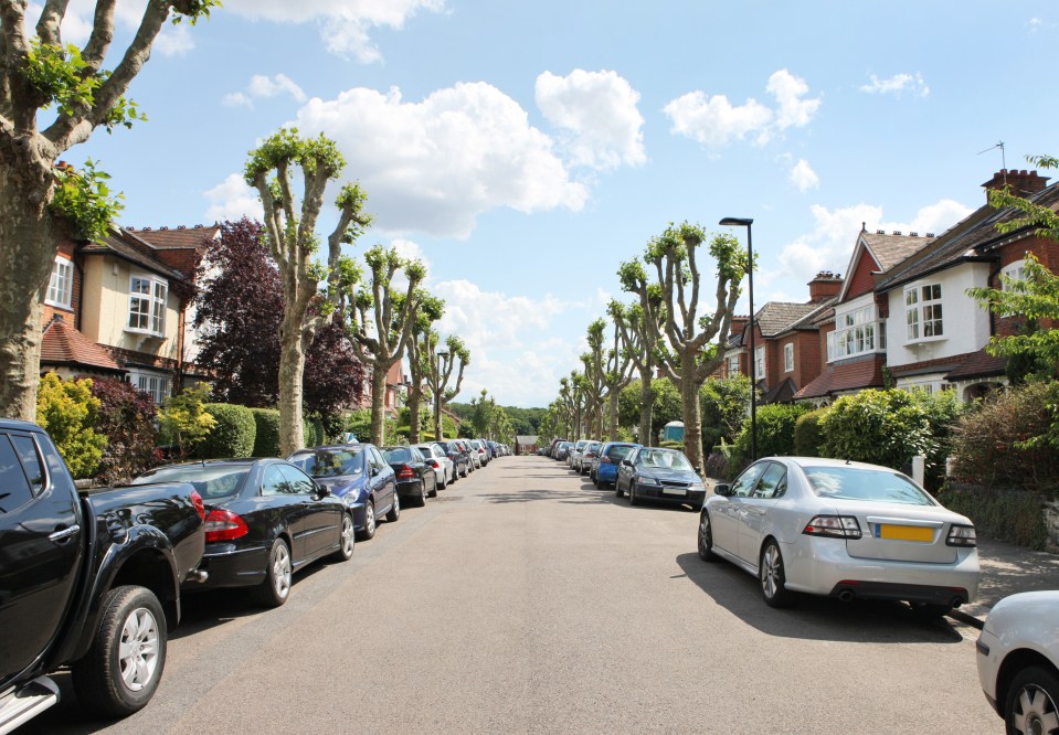 Cars parked on a tree-lined street.