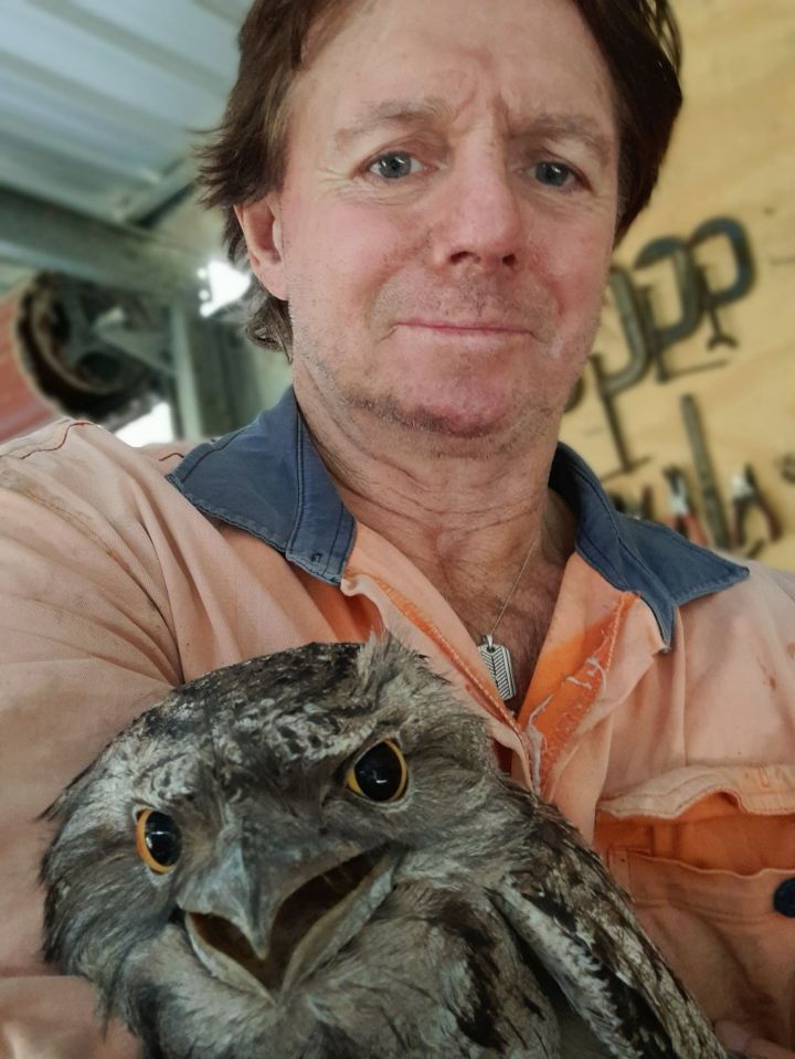 A man holding a tawny frogmouth.
