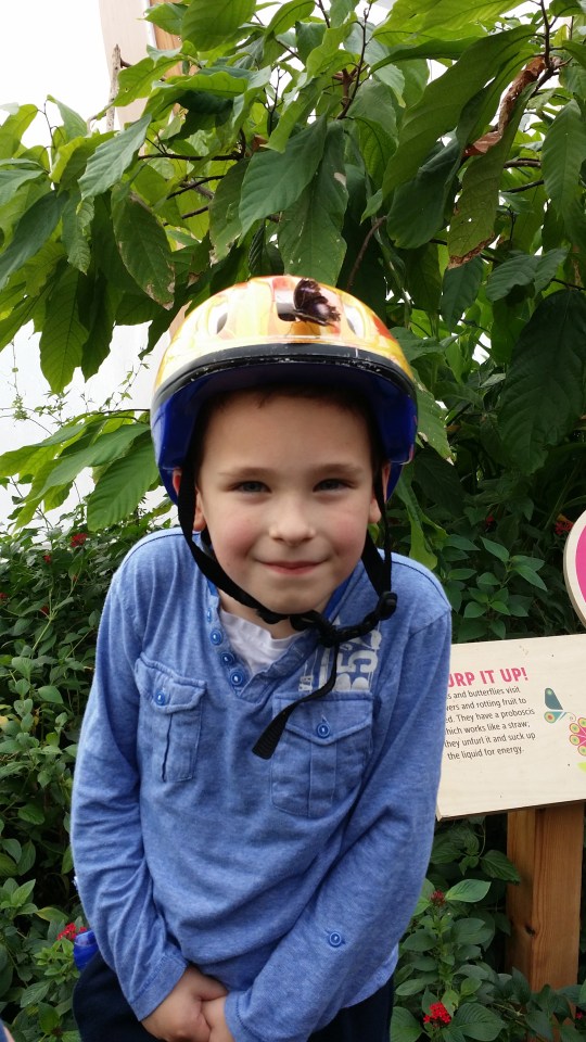 Young boy wearing a helmet in front of plants.