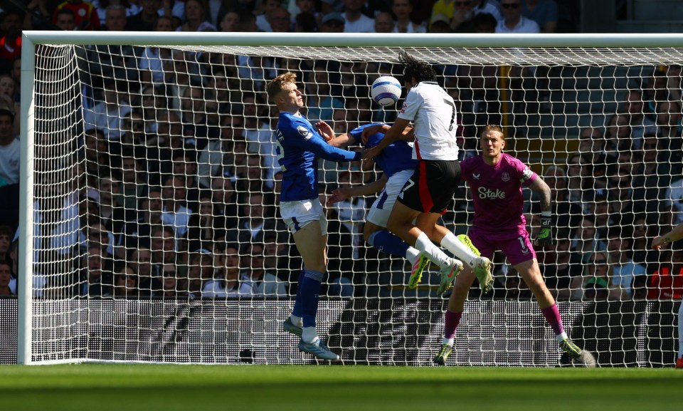 Raul Jimenez scoring a goal for Fulham.