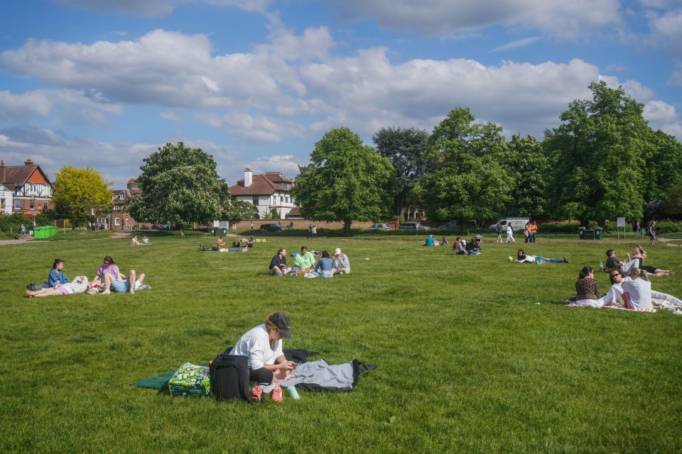People relaxing on a grassy park lawn on a sunny day.