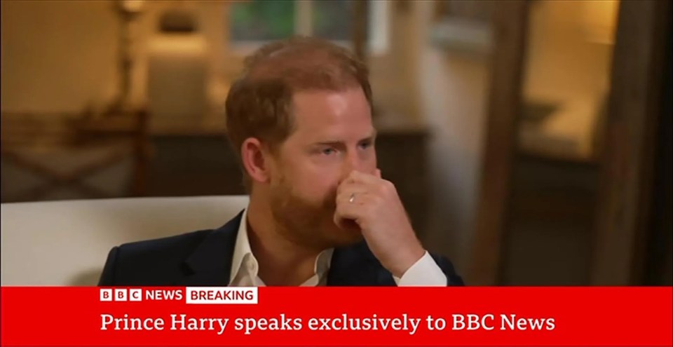 Prince Harry in an interview with BBC News.