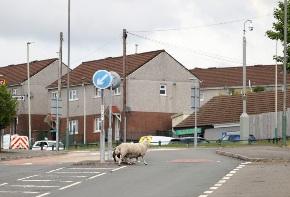12.05.25 - Picture shows Rhymney, in Blaenau Gwent, South Wales. One in 30 people in Rhymney are claiming benefits for anxiety  a higher proportion than anywhere else in Britain.