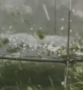 Hailstones falling on a trampoline.