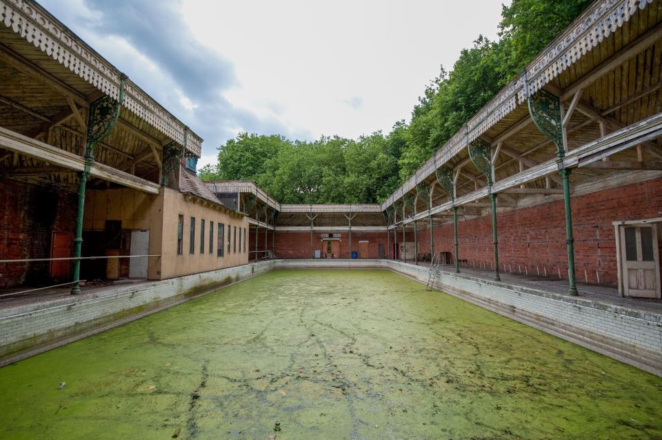Overgrown, abandoned swimming pool.
