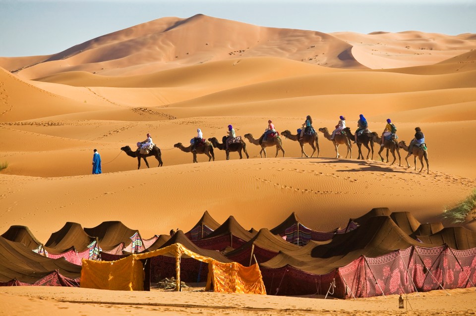Camel caravan crossing Erg Chebbi desert with Berber tents in the foreground.