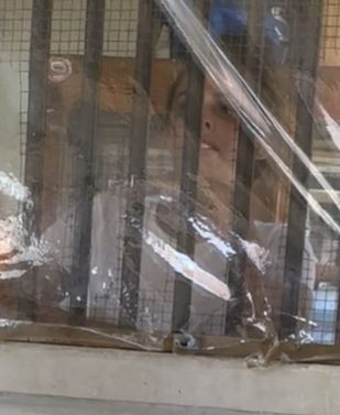 Charlotte May Lee seen through a window.