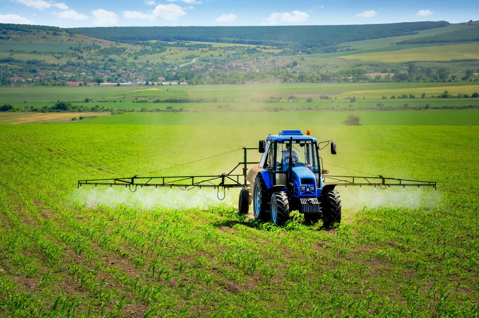 Tractor spraying a field.