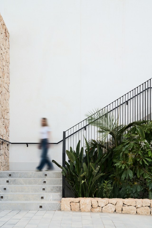 Person walking up stone stairs next to tropical plants.
