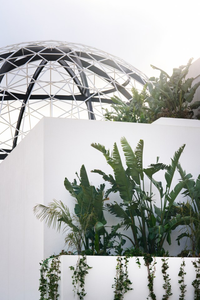 Tropical plants growing in front of a white building with a geodesic dome in the background.