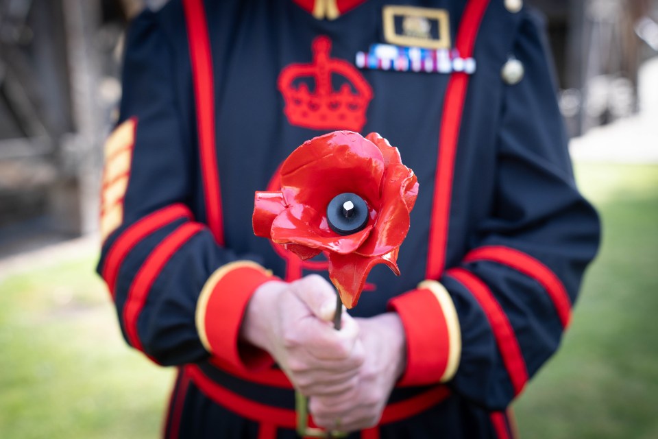 A person in a uniform holds a red metal poppy.