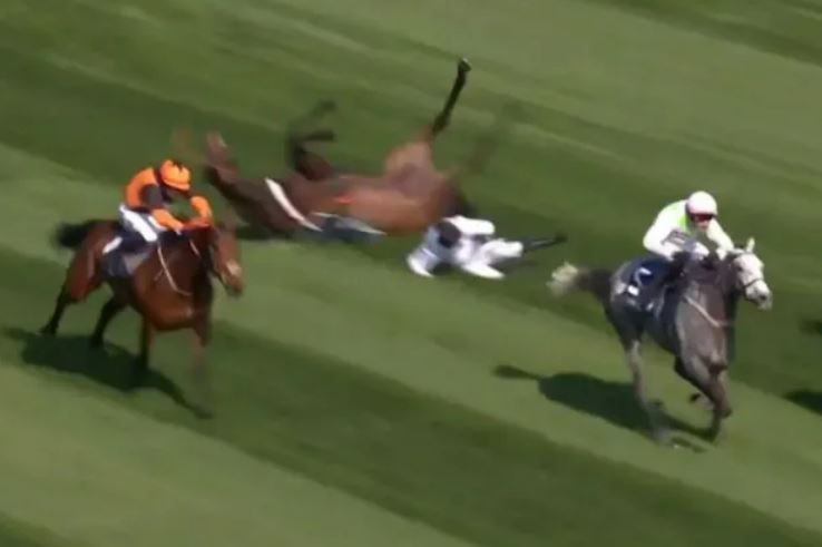 Horse racing accident; a jockey has fallen.
