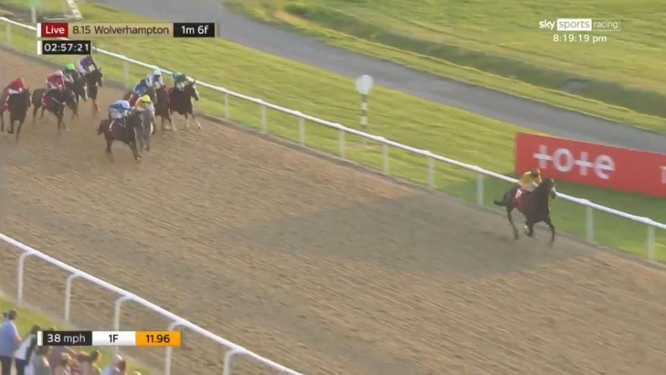 Horse race at Wolverhampton.