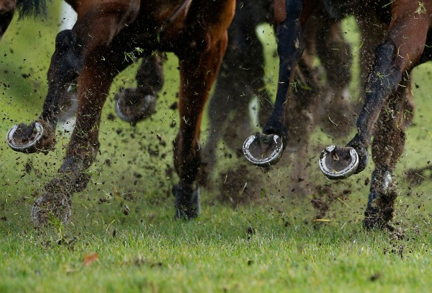 Horses' hooves and legs running on a racecourse.
