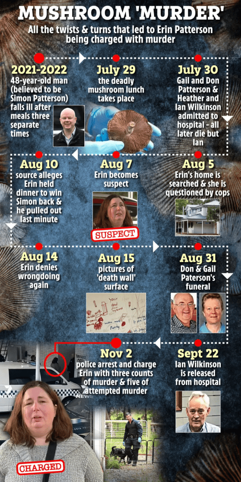 Illustration of a timeline detailing the events leading to Erin Patterson's arrest and charges for murder.