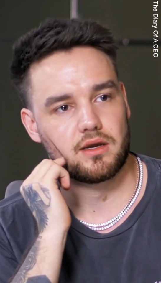 Liam Payne in an interview.