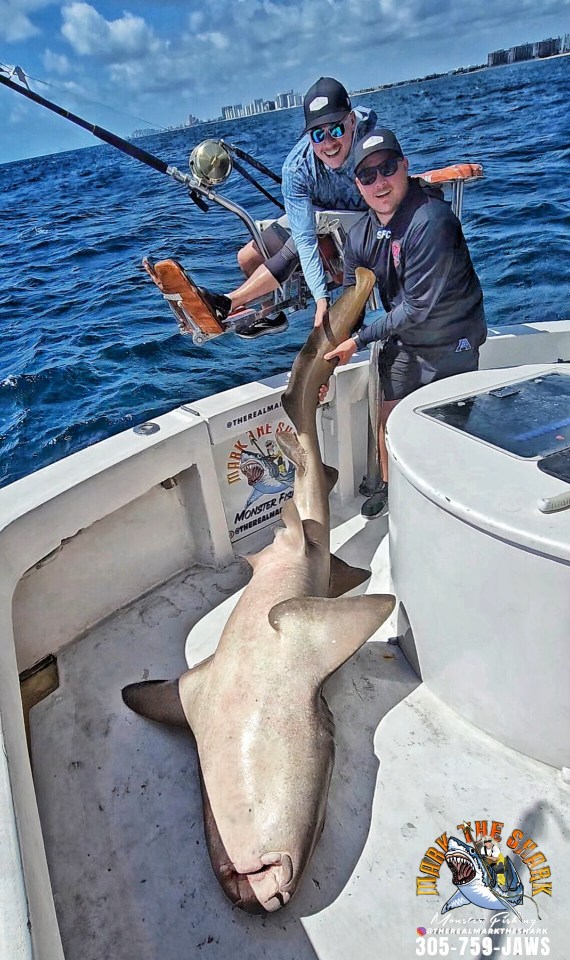 Two men on a boat holding a large shark.