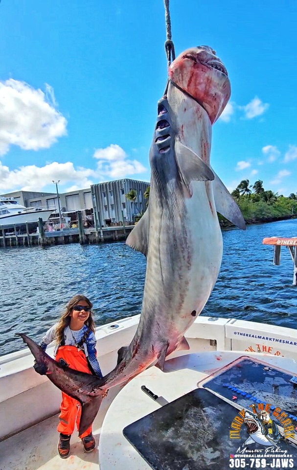 Girl holding a large caught tiger shark on a boat.