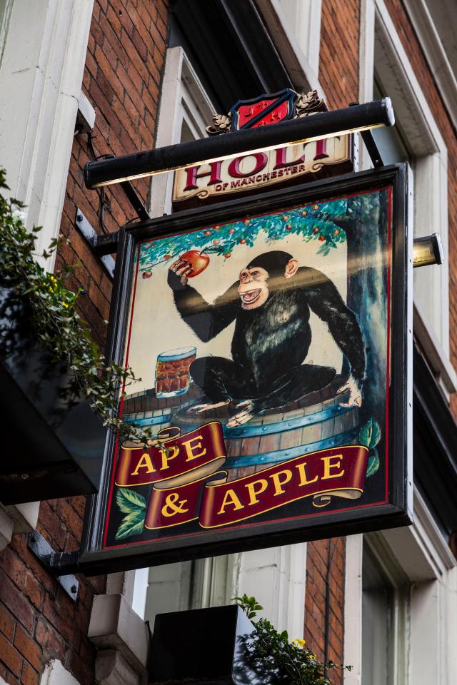 Pub sign illustration of a chimpanzee holding an apple and a pint of beer, with "Ape & Apple" written below.