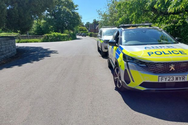 An image collage containing 1 images, Image 1 shows Police cars parked on a residential street
