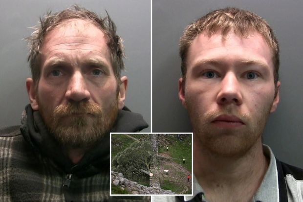 An image collage containing 3 images, Image 1 shows Mugshot of Daniel Graham, Image 2 shows Mugshot of Adam Carruthers, Image 3 shows A felled tree lies across a stone wall; police officers are present