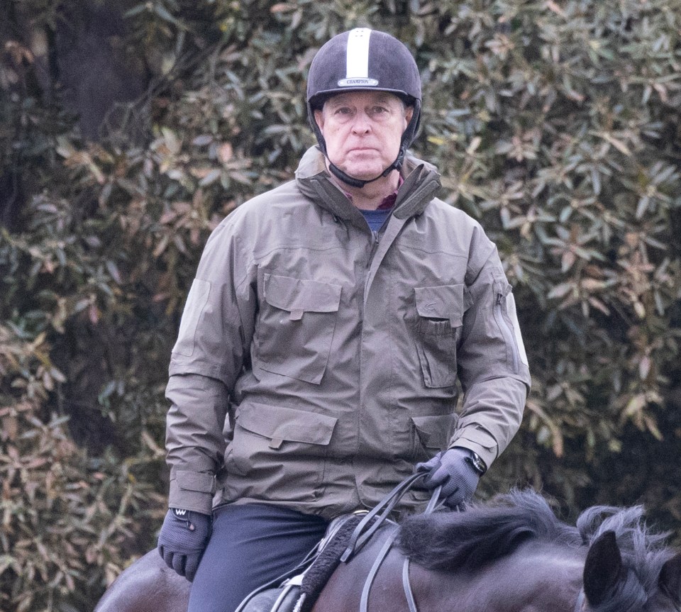Prince Andrew horseback riding.