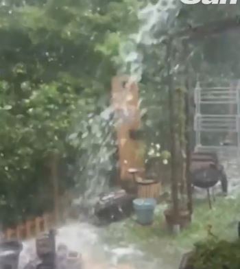 Rainstorm in a backyard.