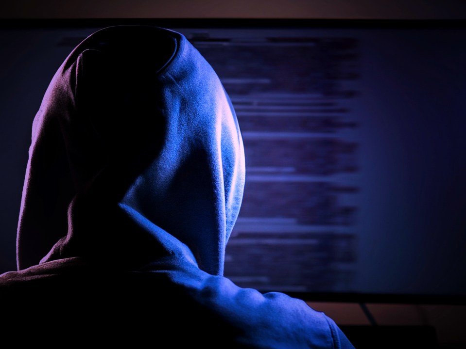 Rear view of a hooded figure sitting at a computer.